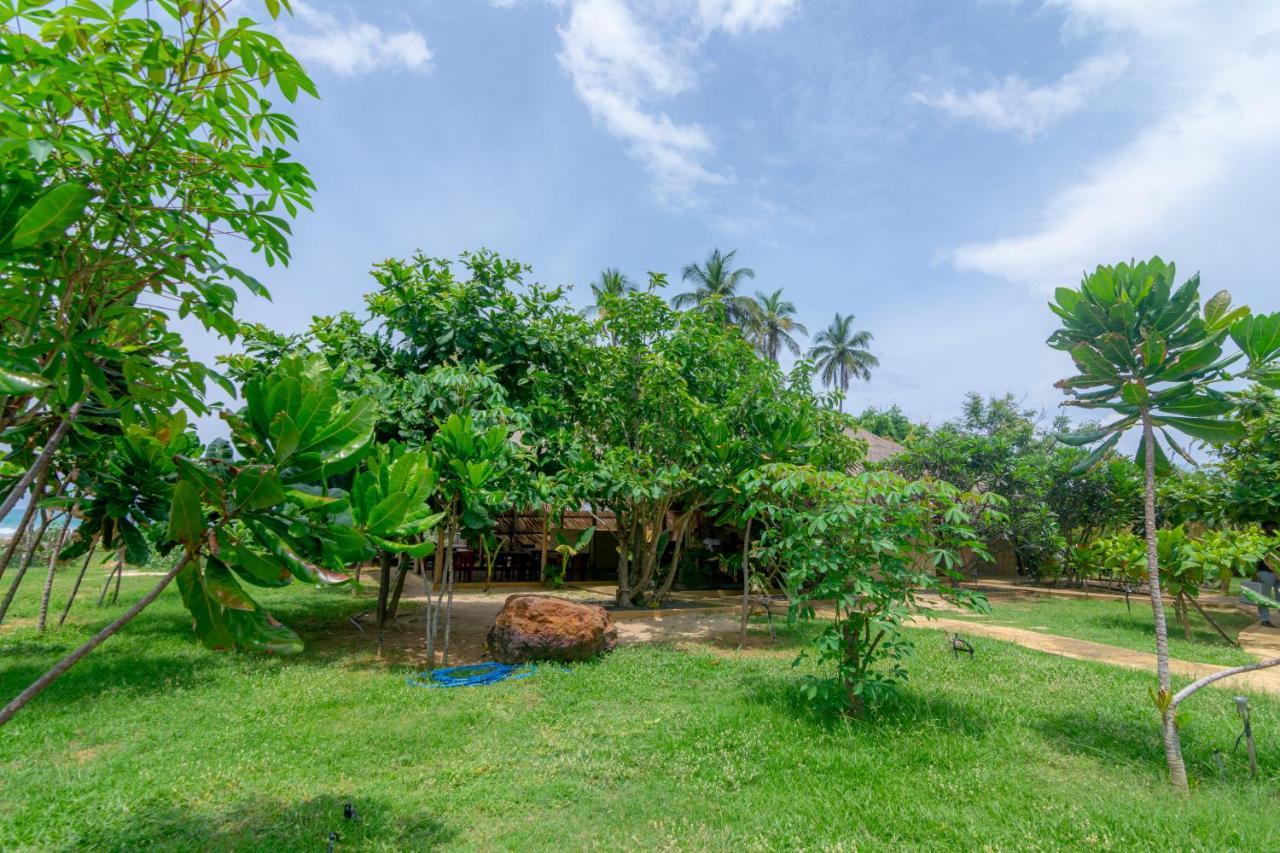 Blue Waters Arugam Bay Exterior foto