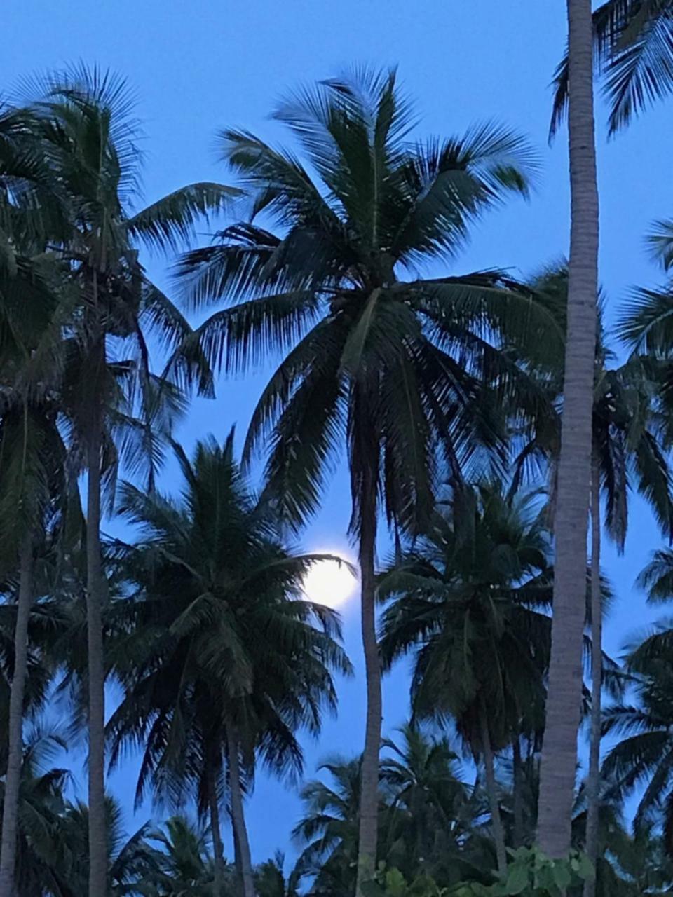 Blue Waters Arugam Bay Exterior foto